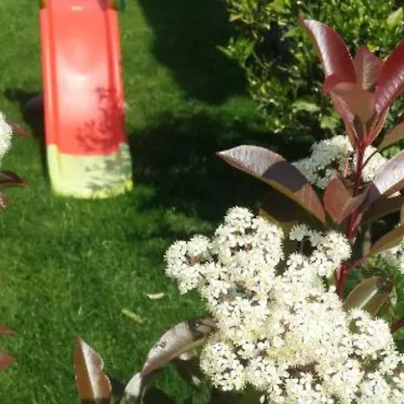 Marica - Five Bedroom With Private Pool Kaštela